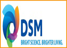 Giải pháp chấm công tính lương nhà máy chế biến thực phẩm DSM (VSIP II - Bình Dương)