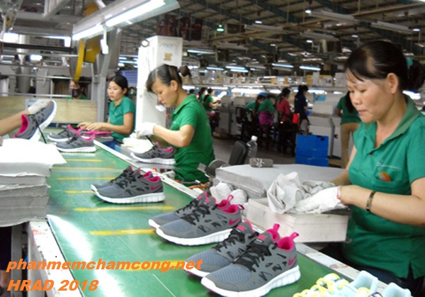 Tính công tính lương cho công ty sản xuất Gia dày